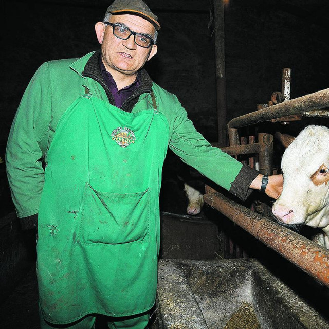 Rodoljub Džakula.