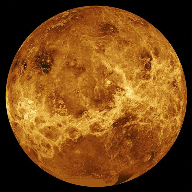 Venera