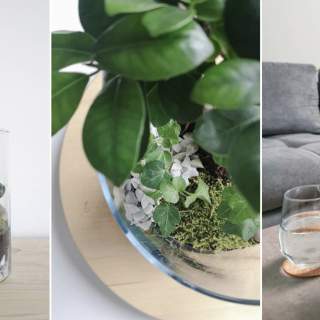 Instagram @_mossoma_