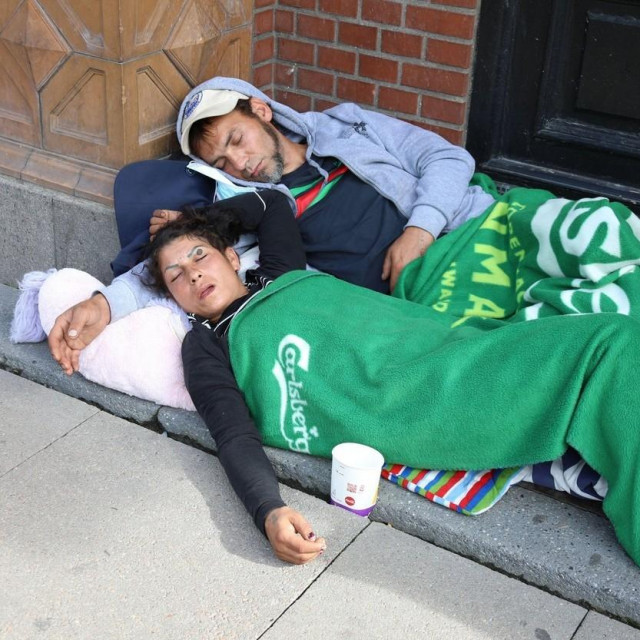 Imigranti u Danskoj/Ilustracija