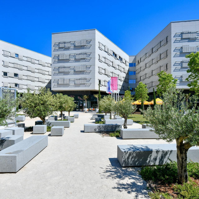 Nagrada je autorima Tinu Svenu Franiću, Vanji Rister i Ani Martinčić Vareško dodijeljena jednoglasno