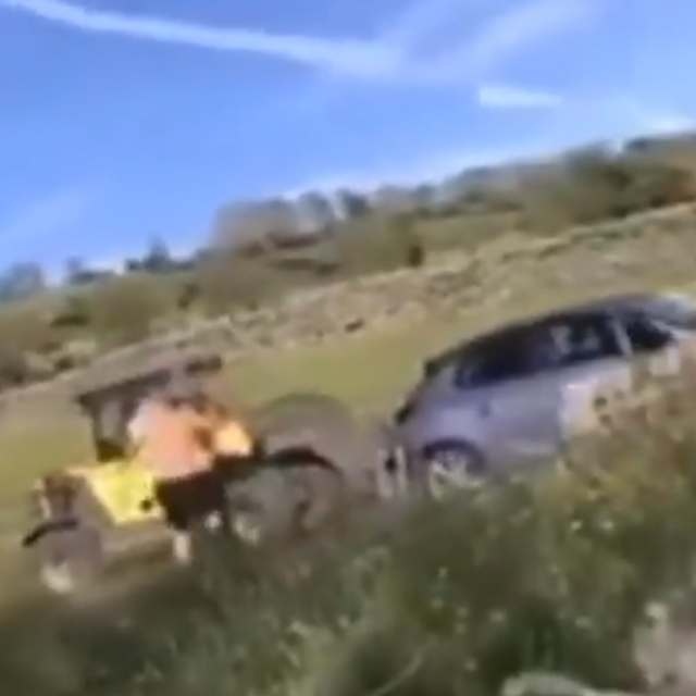 Viličar odnosi auto