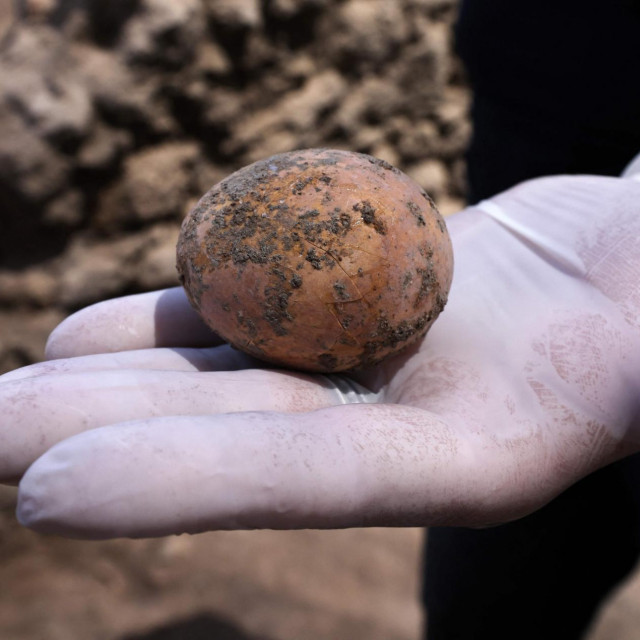 Tisuću godina staro jaje