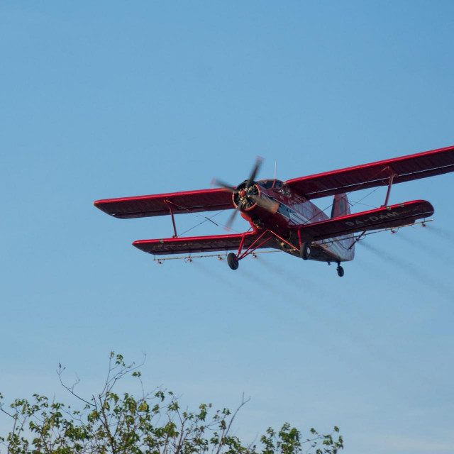 Zaprašivanje komaraca
 