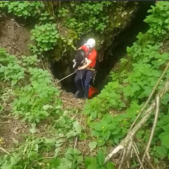 Izvlačenje psa iz jame