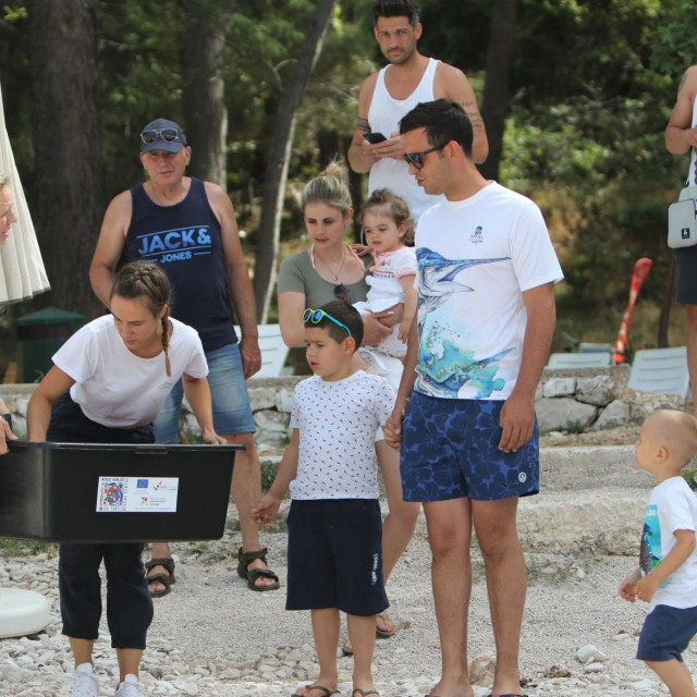 Pripreme za puštanje Zlate