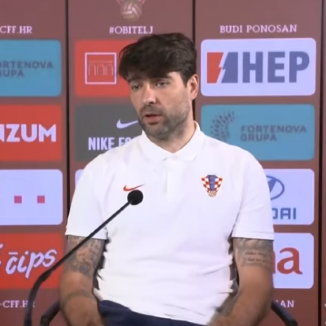 Vedran Ćorluka