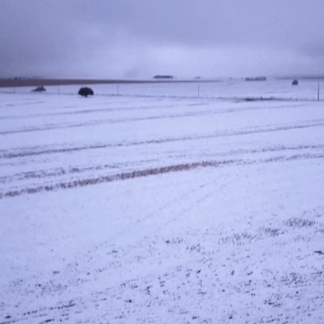 Prvi put u 14 godina snijeg je zabijelio argentinsku Cordobu