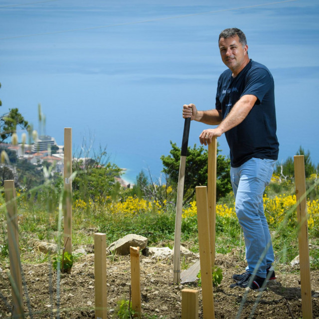 Cilj mi nije prekomjerna zarada, već da posadim u zemlju nešto za budućnost. Ništa bolje nemam za raditi ujutro dok čekam da se moji zaposlenici u SAD-u probude - jednostavno zaključuje Matt Lirette