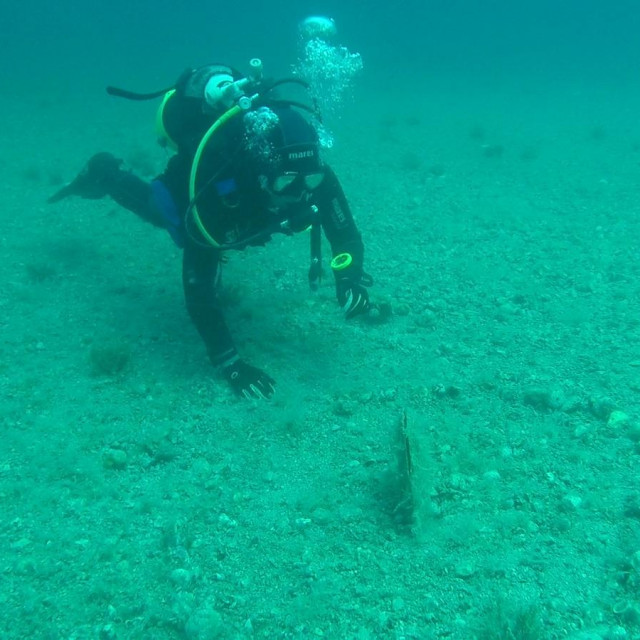 Angela Bradarić s periskom
 