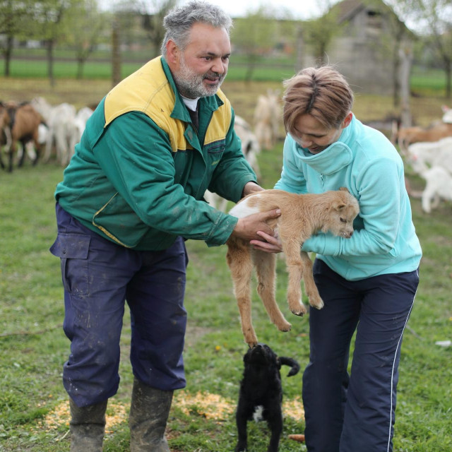 Željko i Tatjana Lovrić-Jovanović, inače višestruka prvakinja Hrvatske u džudu, i prošle su godine bili prijavili trovanje pesticidima 20 koza i jarića