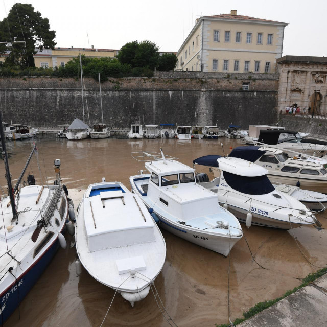 Cvjetanje mora u Foši