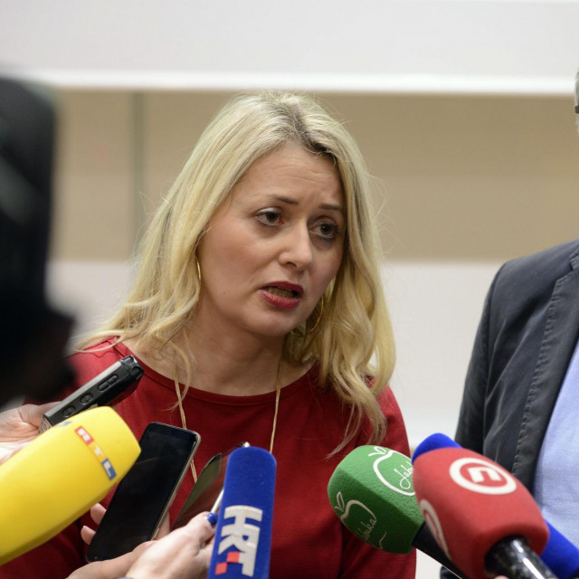 Ivana Pavić Šimetin i Krunoslav Capak