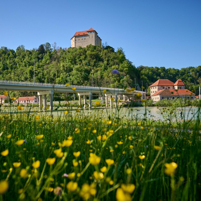 ​Fotografije: Tomo Jeseničnik