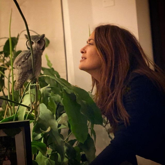 Salma Hayek i ljubimica sova