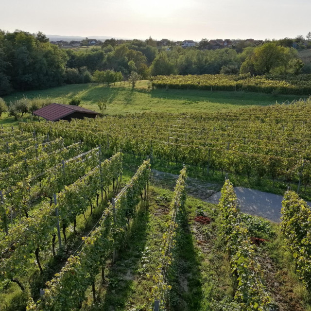 Vinarija Kasner - domaćin Wine&Bike manifestacije