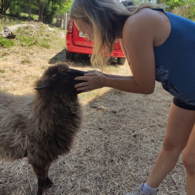 Prizor iz utočišta