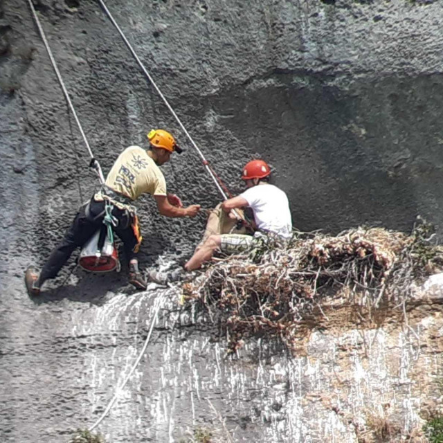Spuštanje do gnijezda