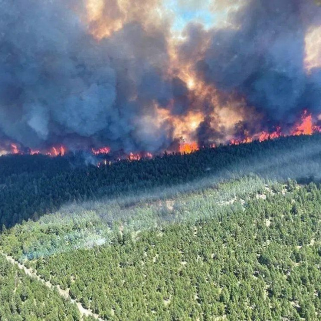 Požar u Britanskoj Kolumbiji, Kanada