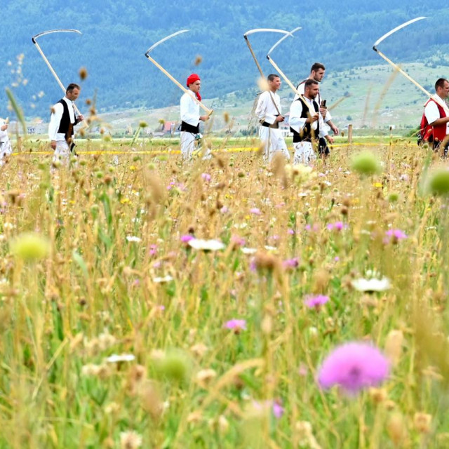 Košnja trave na Kupresu svake godine privuče i gledatelje i natjecatelje