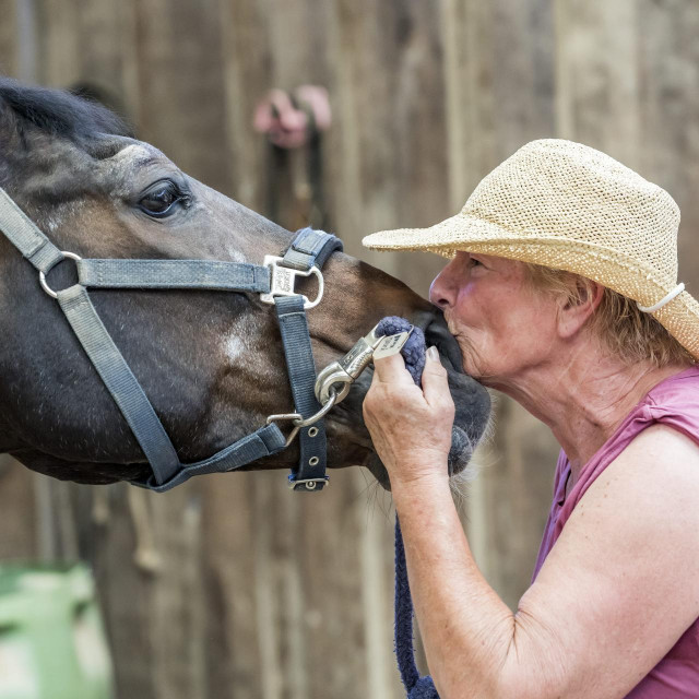 Jutta Haber i trakenerski pastuh Polaris