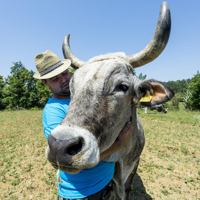 Maurizio Jugovac i boškarin