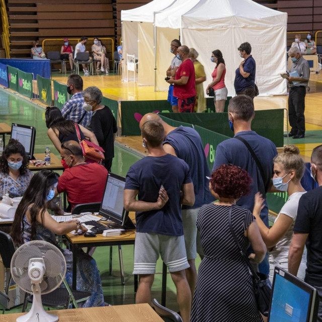 Cijepljenje, Ilustracija