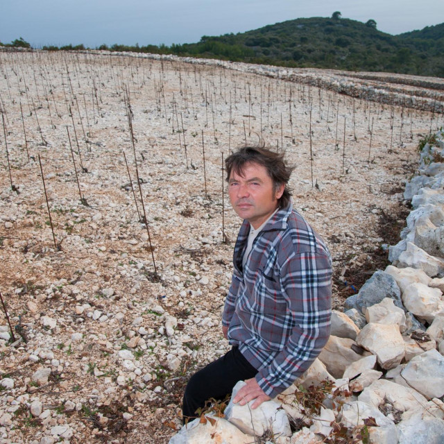 Vinarija Milina Bire, Franko Milina Bire, vinar i vlasnik vinarije