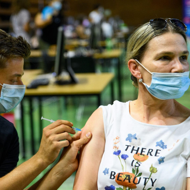 Cijepljenje, ilustracija