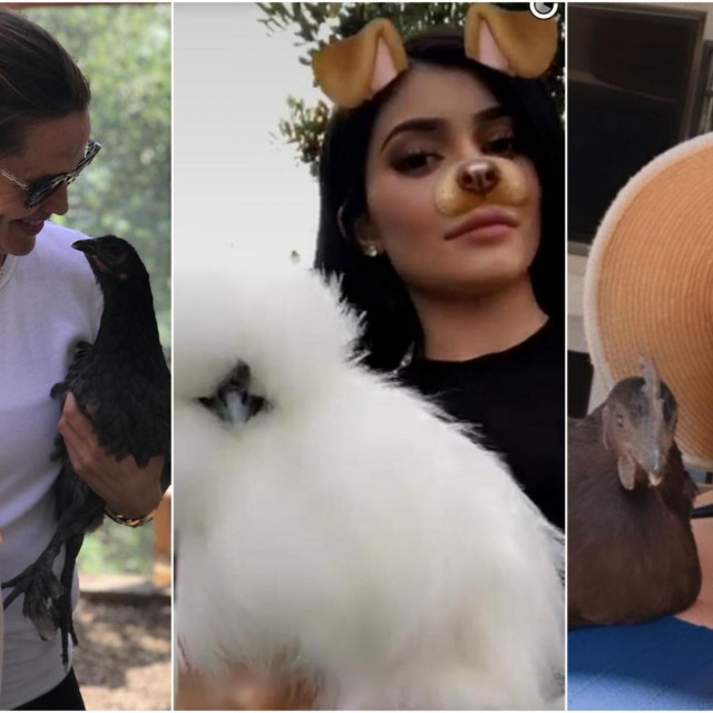 Jennifer Garner, Kylie Jenner i Hillary Duff sa svojim kljubimcima - kokošima