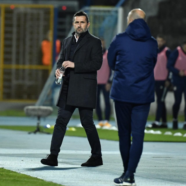 Nenad Bjelica i Damir Krznar