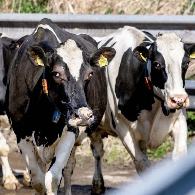 Ilustrativna fotografija