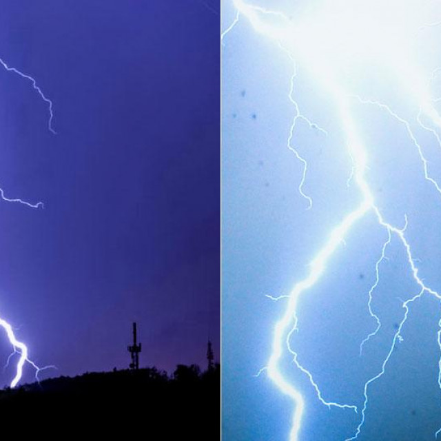 Munje na području Konjščine