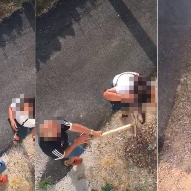 Uznemirujuće scene napada u Rastovcu