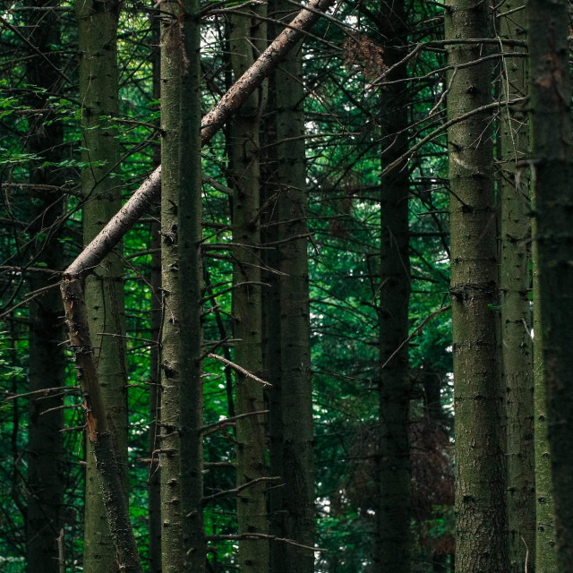 Park Prirode Žumberak, Ilustracija