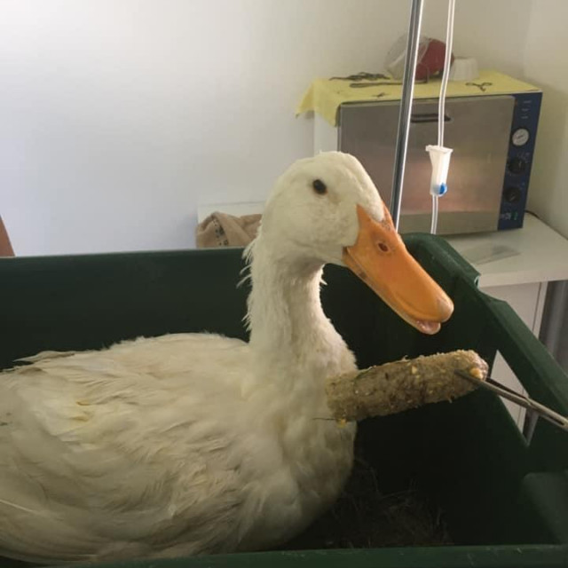 Zlatko ponosno pozira sa svojim ”ulovom”