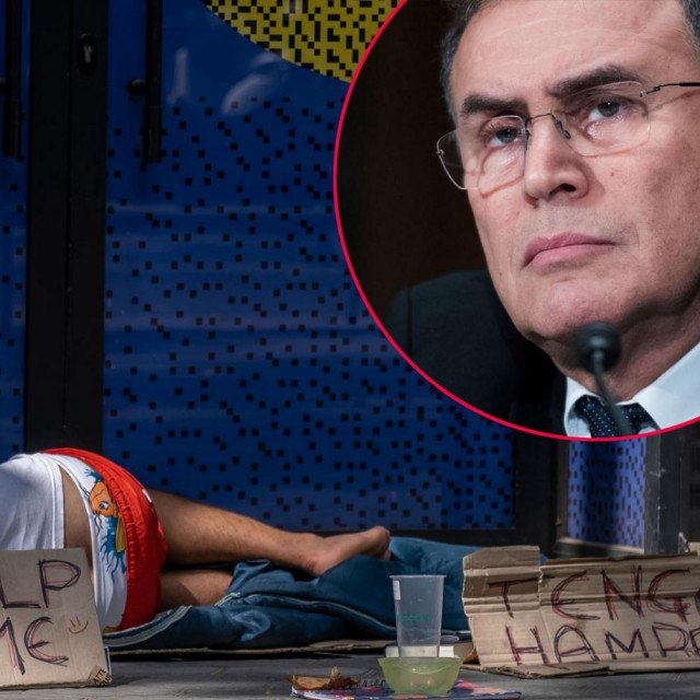 Nouriel Roubini