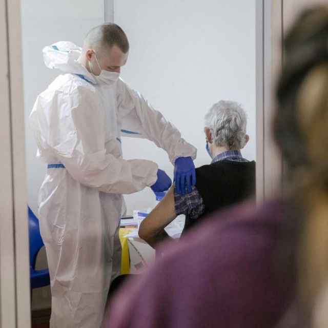 Cijepljenje u Beogradu, Ilustracija