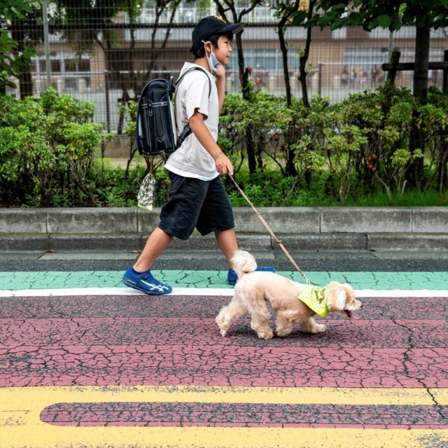 Odlazak u školu u pratnji psa