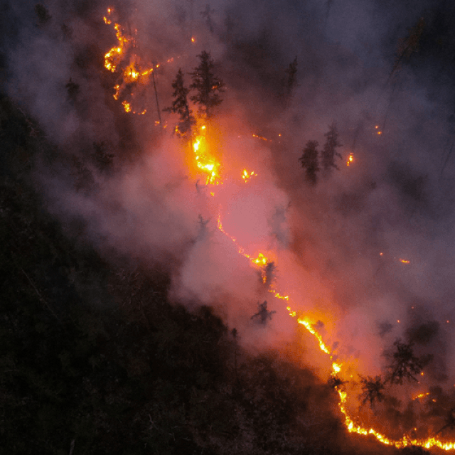 Požari u Rusiji i SAD-u
