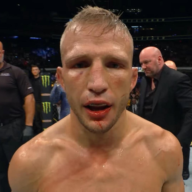 TJ Dillashaw
