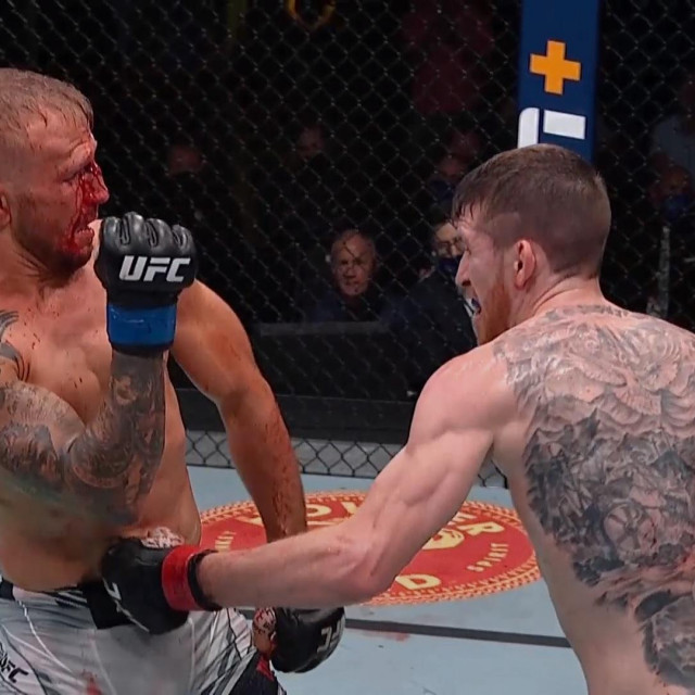 Dillashaw vs. Sandhagen
