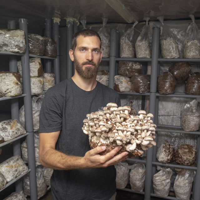 Frane Dešković u svom domu uzgaja neke tipične gljive, poput bukovača, ali i neke koje su rijetke na našem području, poput lavlje grive