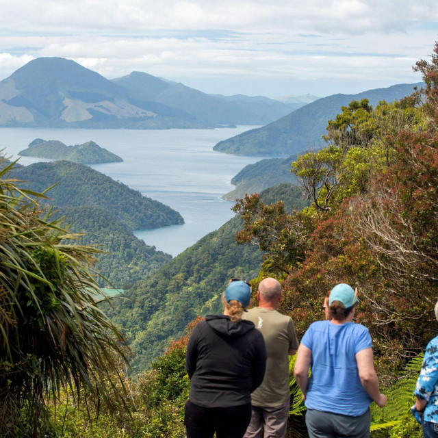 Duncan Bay, Novi Zeland