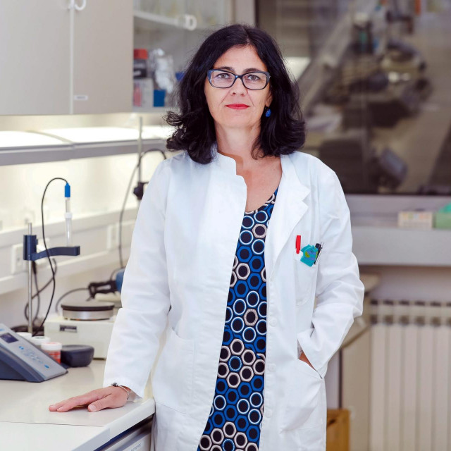 Andreja Ambriović Ristov