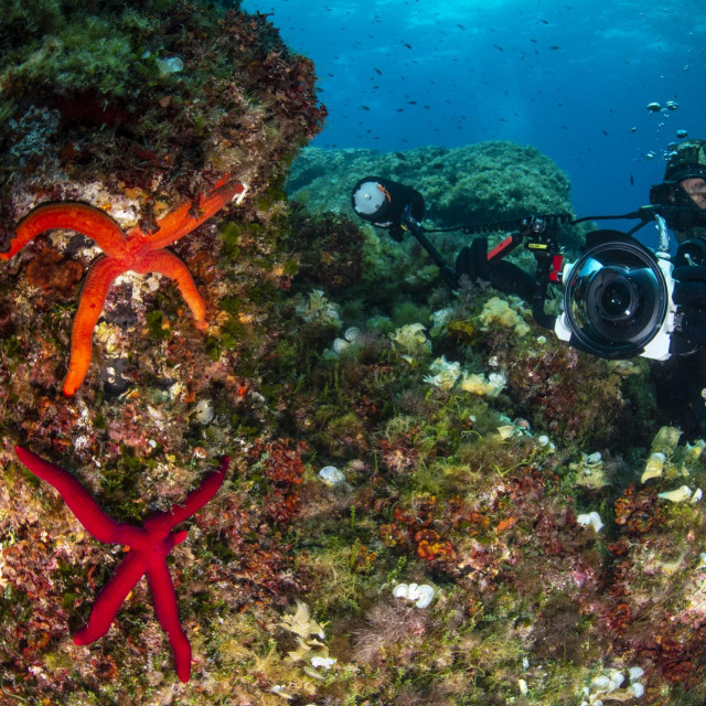 Ronilačka lokacija Gnjilina