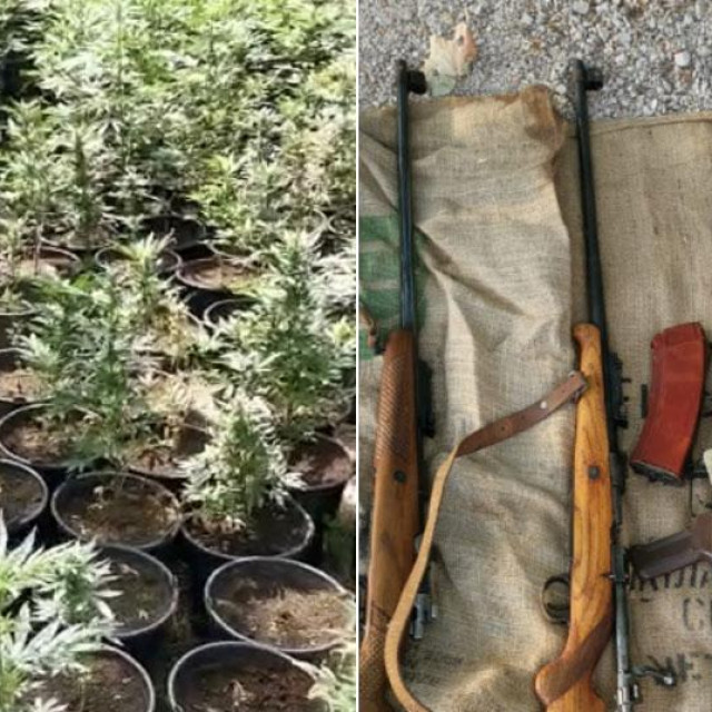 Zaplijenjena marihuana i oružje u Grudama