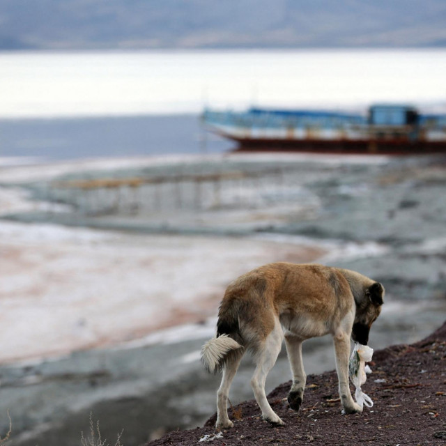Jezero Urmia, arhivska fotografija