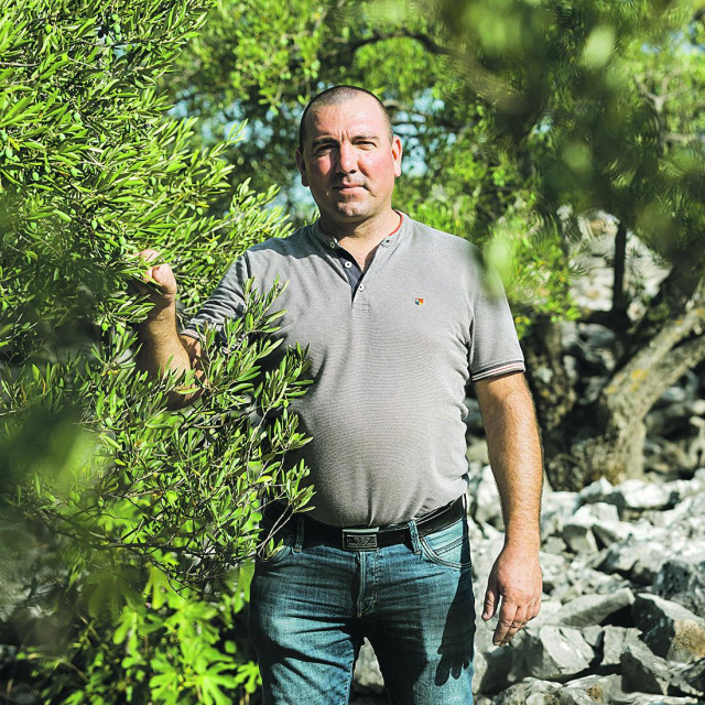 Ivica Ugrina