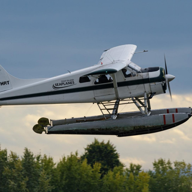 Hidroavion De Havilland Beaver